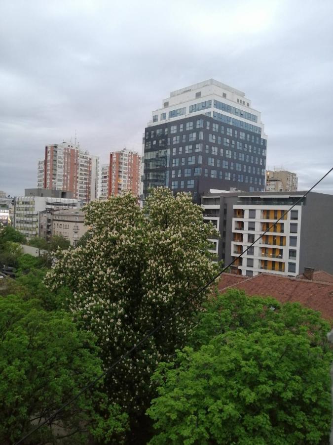 Caviar Apartamento Belgrado Exterior foto
